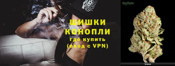 мет Новозыбков