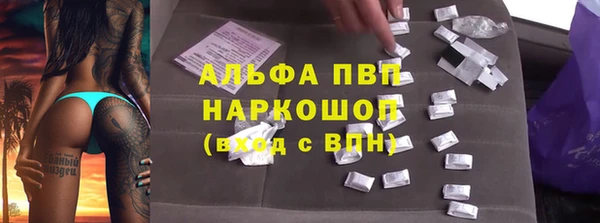 круглые Бородино